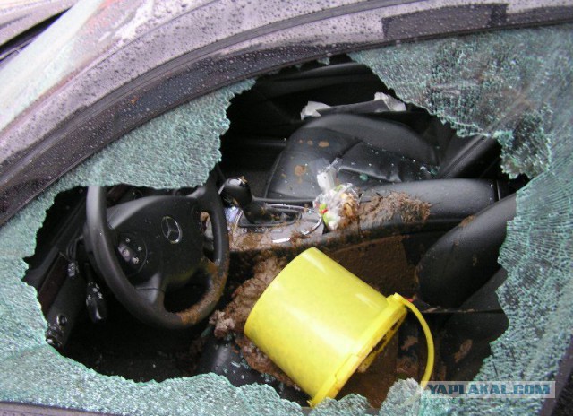 В нашем доме появился