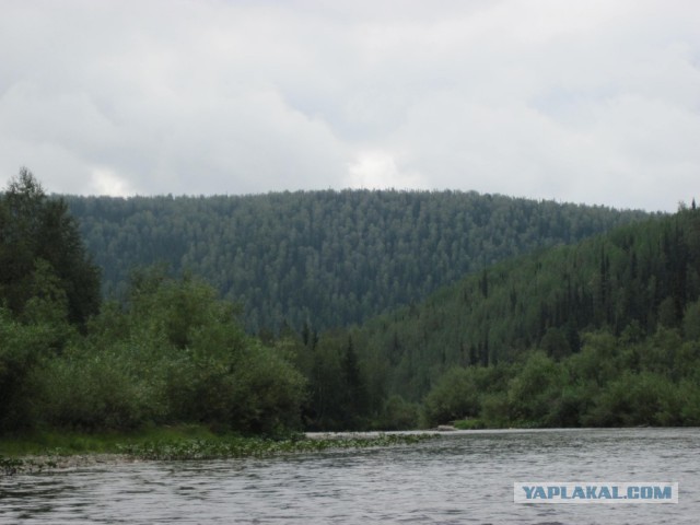 Сибирь 2015