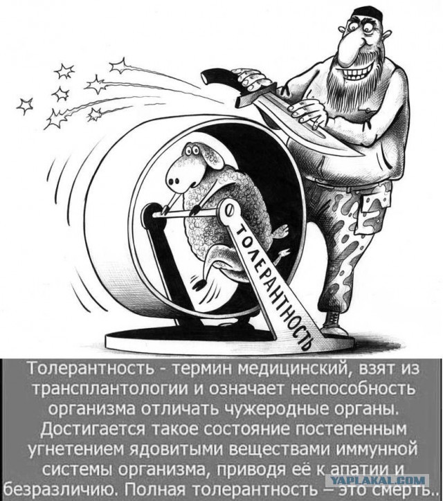 Сатановский прямо и жестко о властях Франции