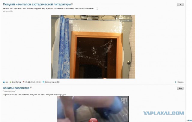 Китайцы шутят