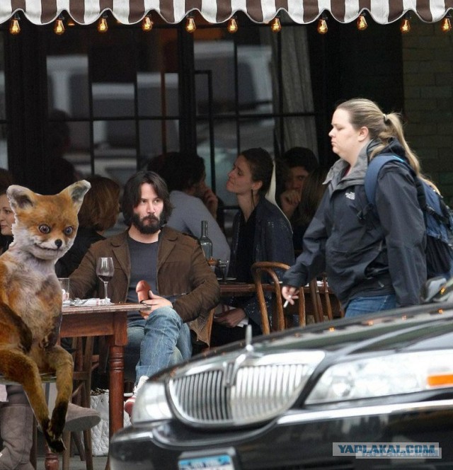 Не желаете ли пожабить