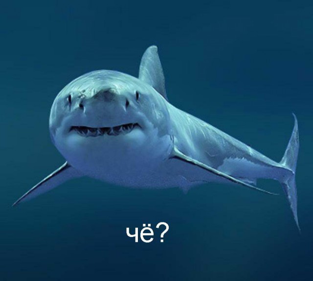 10 интересных фактов о христианстве