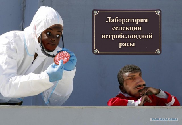 Фотожаба "Ох уж эти исследования"