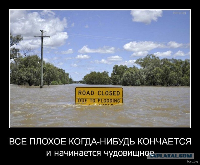 Картинки из сети