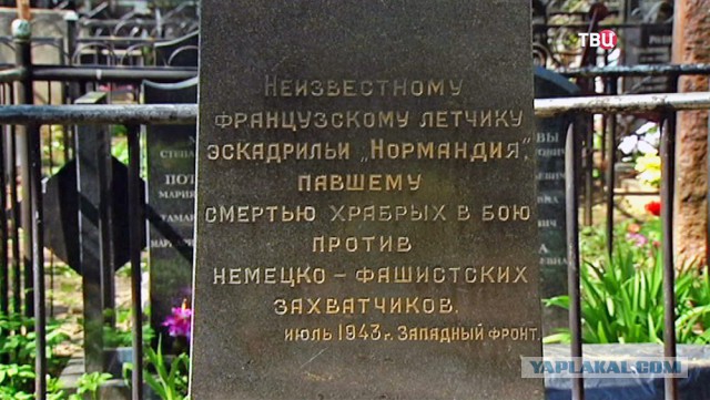 Война в воздухе. Союзники