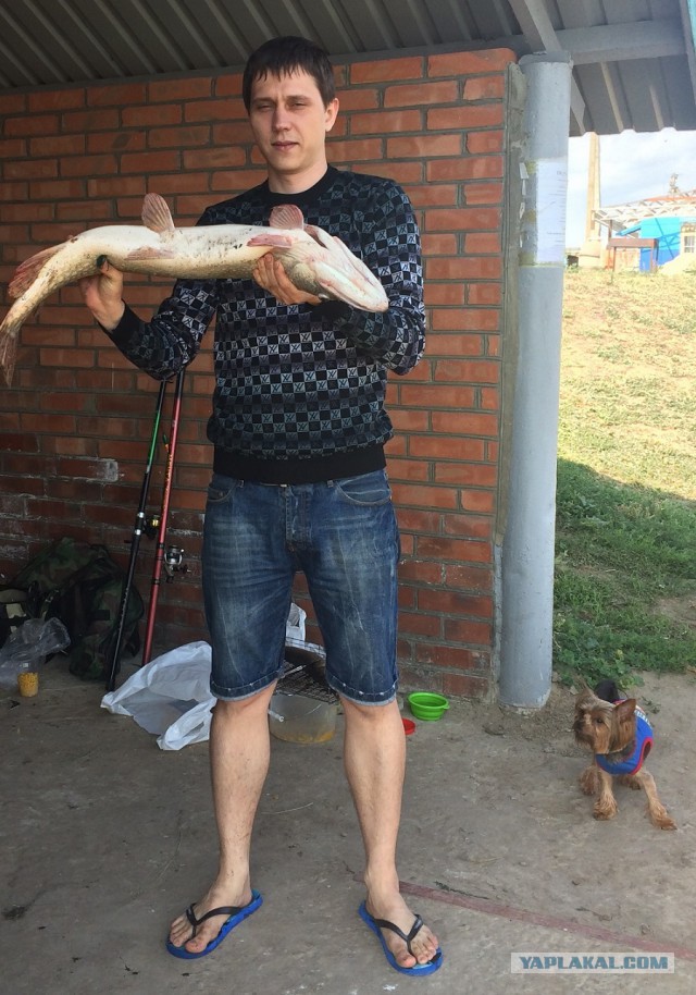 Смелые ЯПовцы.