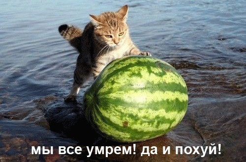 Про погоду: мы все умрем!