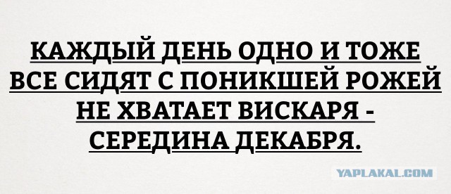 Смешные комментарии из социальных сетей 16.12.2016