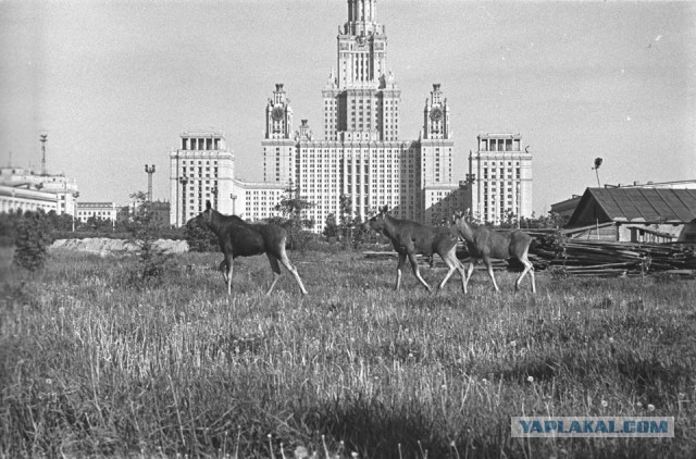 Московский дворик 139 лет спустя