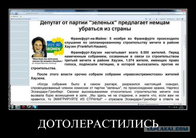 В ФРГ на месте строительства мечети неизвестные оставили расчленённую свинью