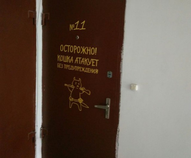 Смешные картинки