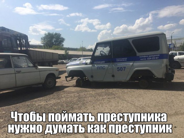Немного картинок