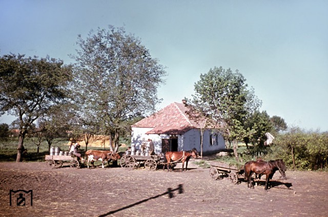 Украинские железные дороги 1943 г. глазами немцев
