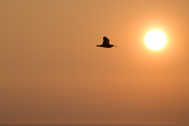 Просто Природа