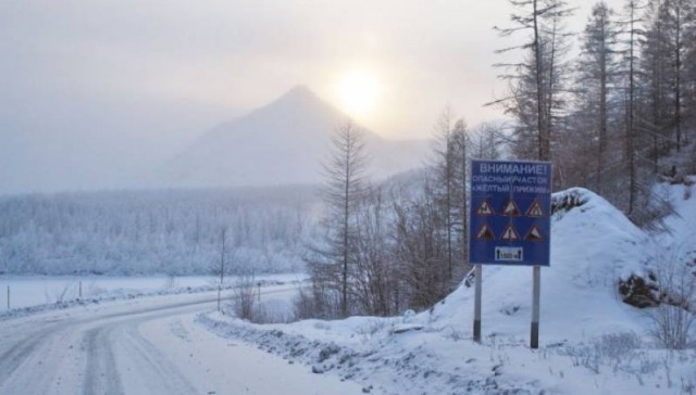 Выжить и не сломаться