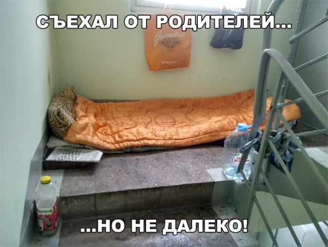 Нестандартный юмор
