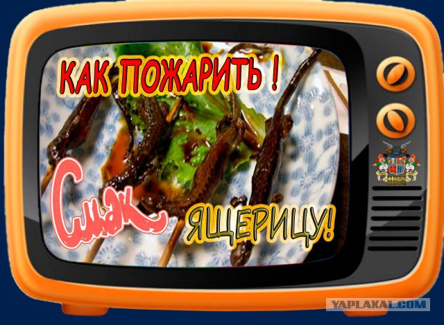 Как я медных ящериц варила.