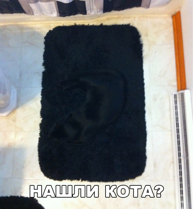 Немного милоты