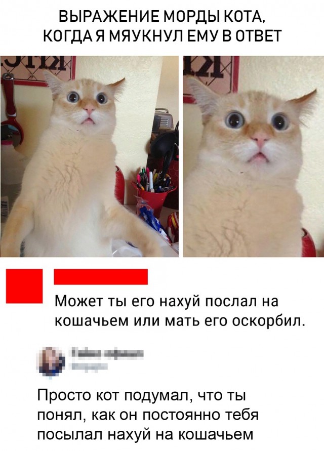 Нестандартный юмор