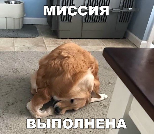 Нестандартный юмор