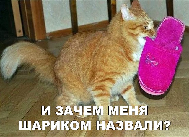 Немного милоты
