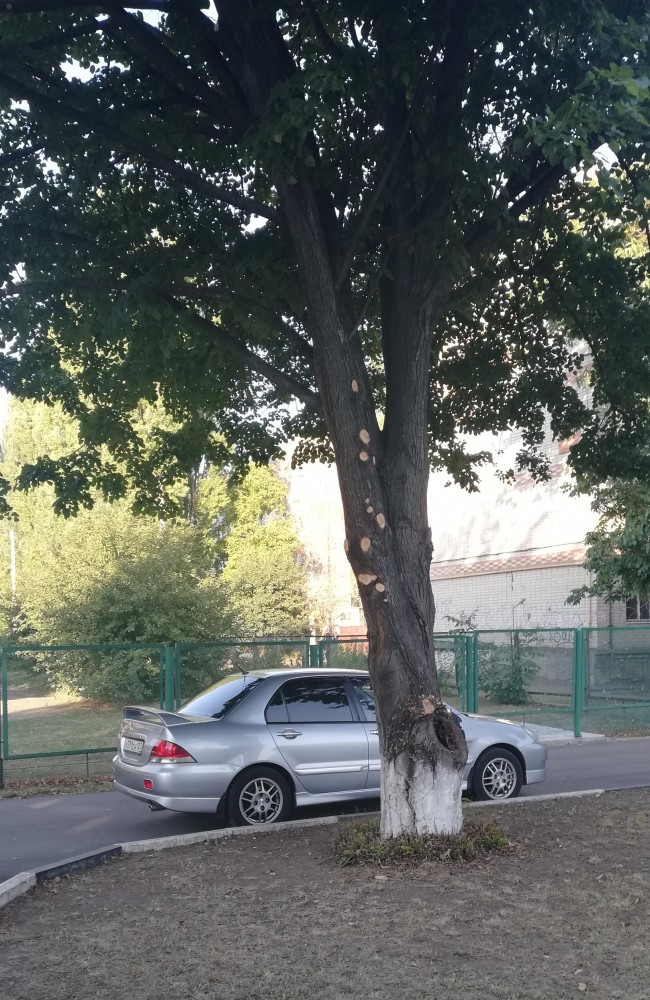А кто на чем передвигается?