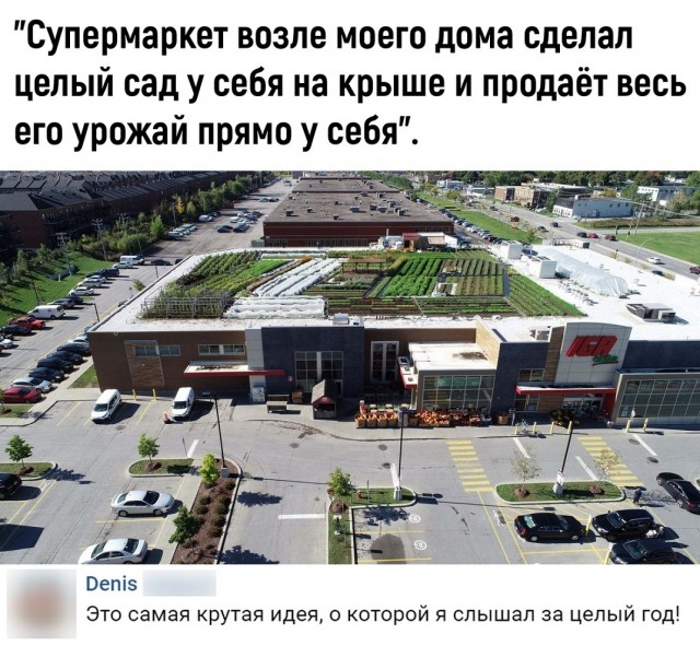 Чуток картинок 14.06.20