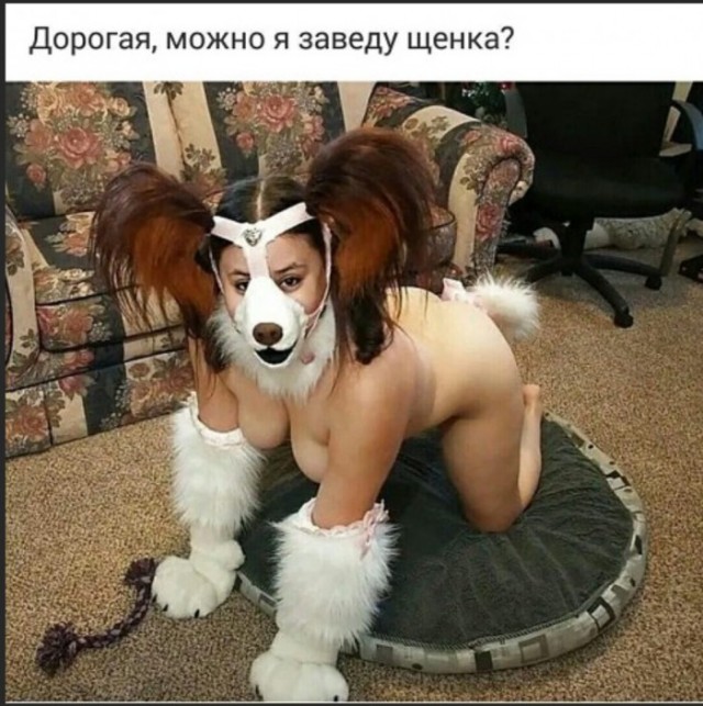 Вот еще немного слегка пошлых картинок с надписями и без 16+ (11.08)