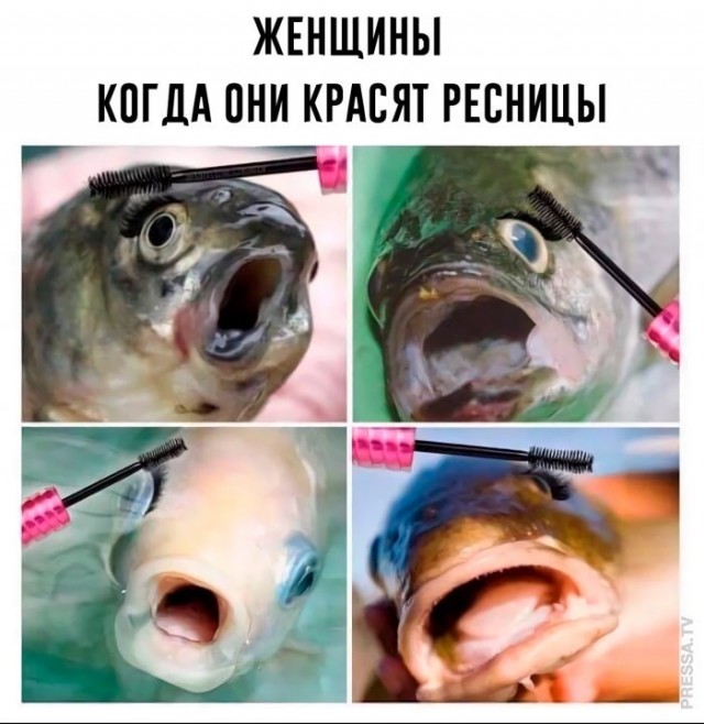 Картинки