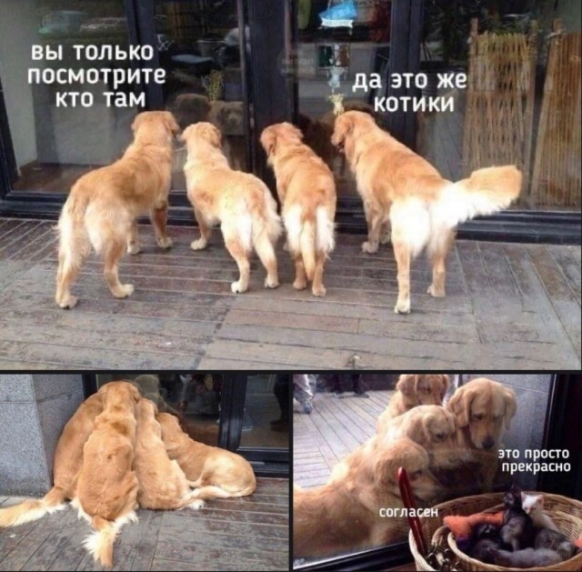 Бредзона 03.11.2020