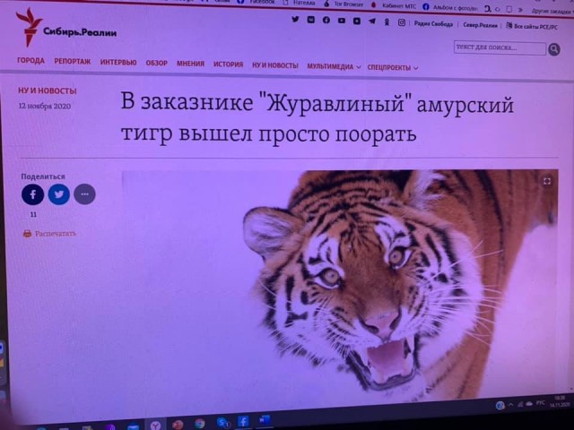 Как дела?