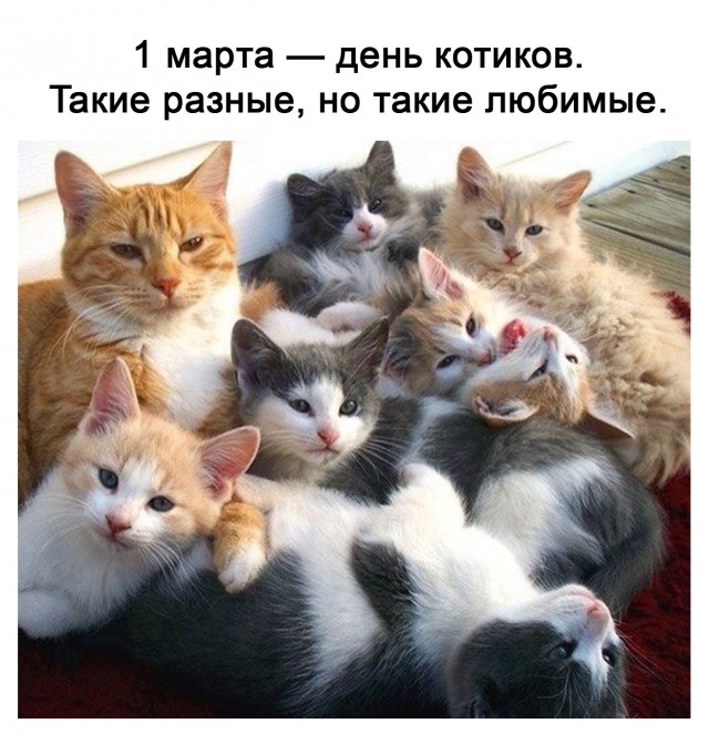 Кретинизмы из сети 01.03.21