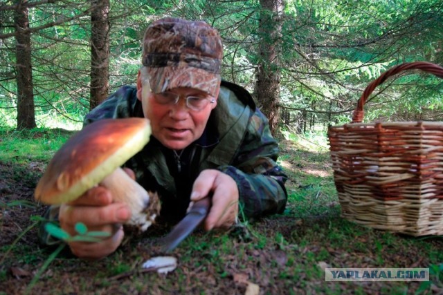 Камуфляжи стран блока НАТО. Кто чем вооружен
