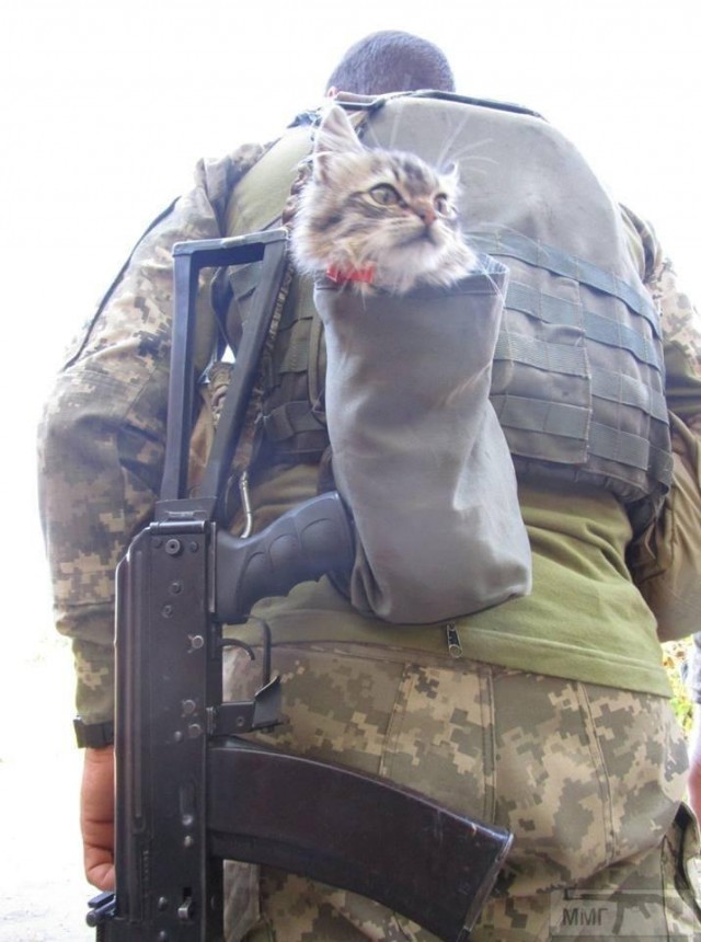Сегодня годовщина ликвидации одного из самых одиозных чеченских террористов Шамиля Басаева.
