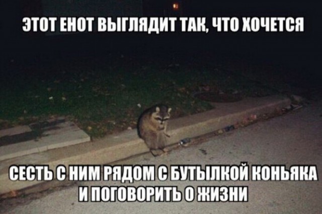 Алкопост 21.08.21
