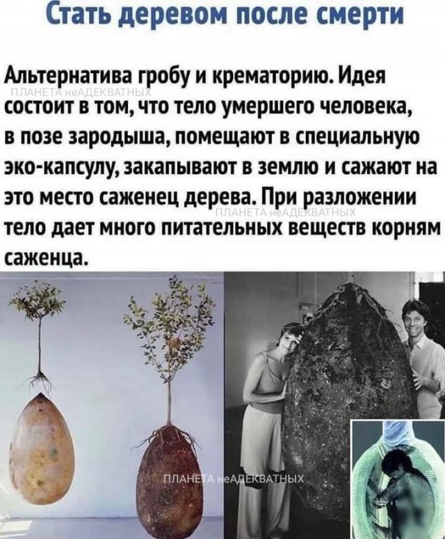Всяческие картинки 15.12.2021
