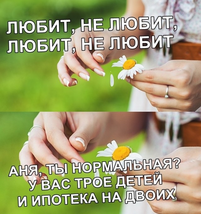 Картинки и мемы для настроения