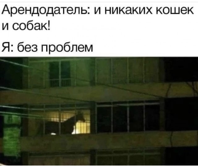 Картинки и мемы для настроения 18.01.2022