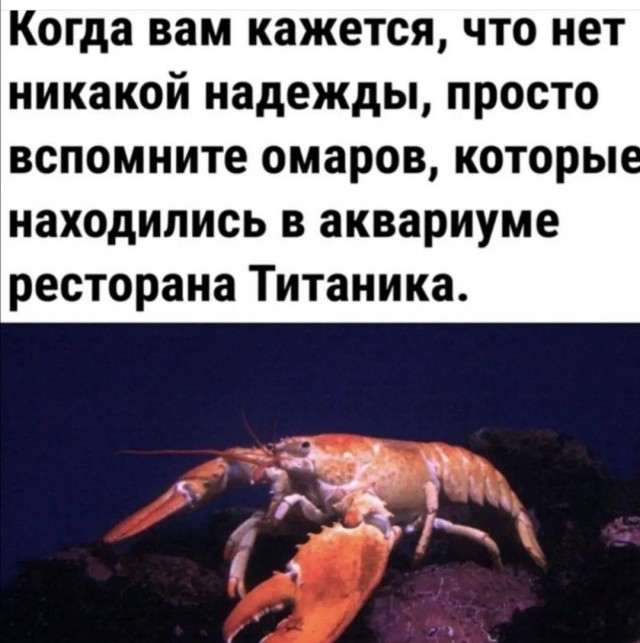 Обострение у малолетнего обсоса