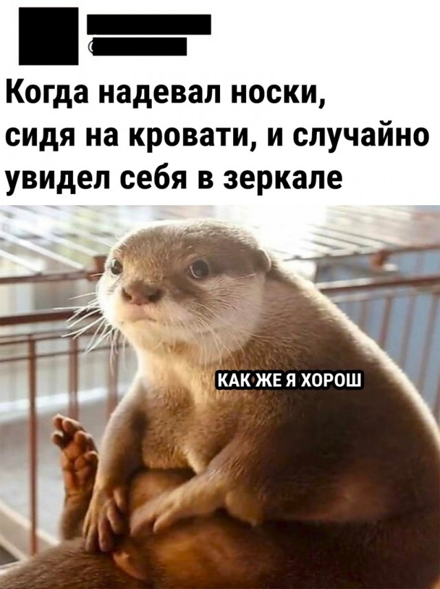 Так себе картинки 29.04.22