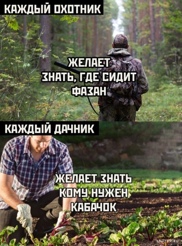 Средненедельная деградация