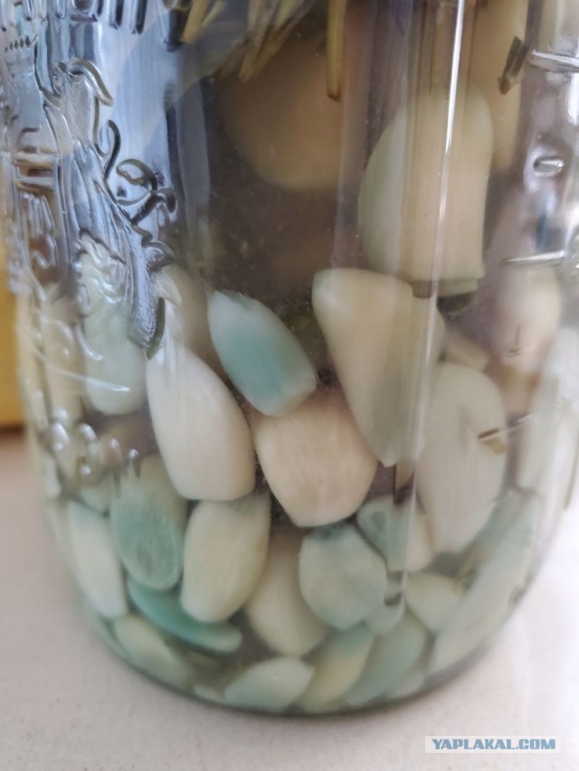 Кулинарная общалка