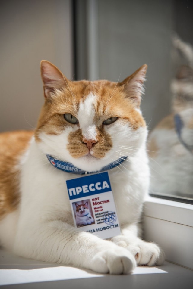 На Крымском мосту снова запустили иллюминацию арок.