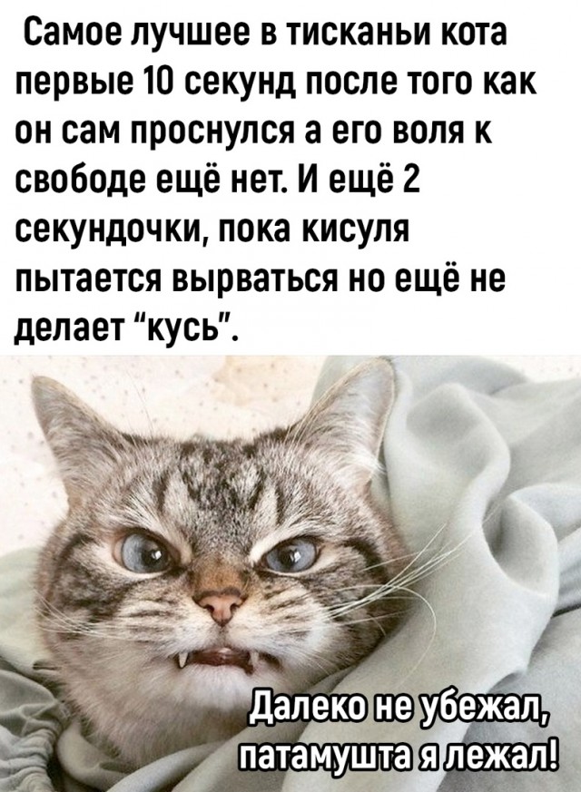 Так себе картинки 09.10.22