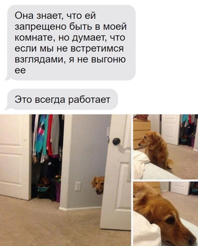 Картинки и мемы для настроения - 119