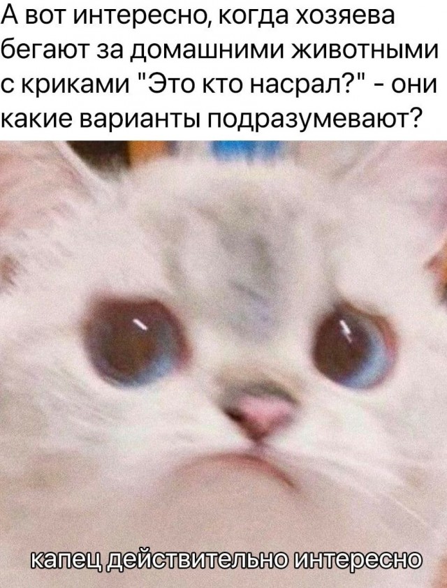 Юмор в картинках и без 27.11.2022