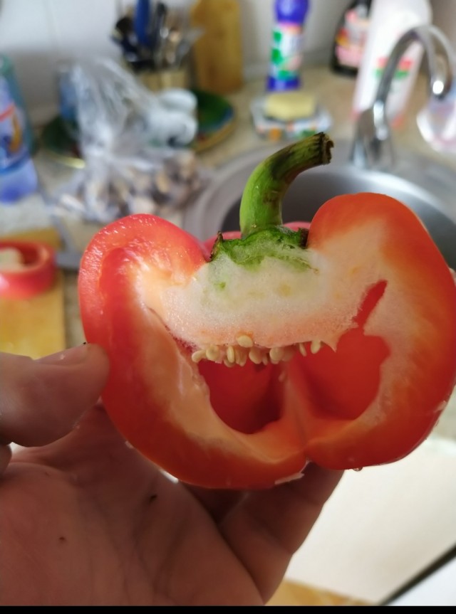 Куда ни глянь, везде эти рожи