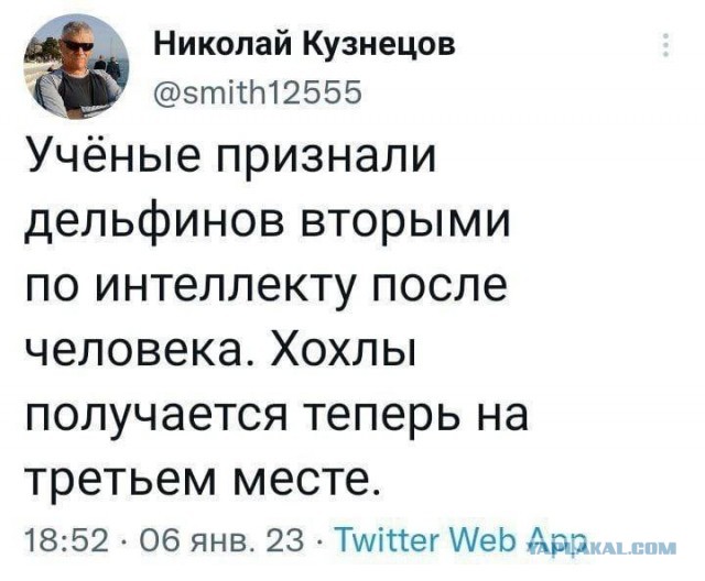 В Днепропетровске планируют снести памятник создателю советских воздушно-десантных войск Василию Маргелову, заявил мэр города
