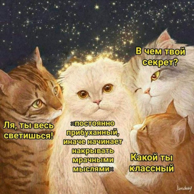 Немного картинок для настроения/постпраздничное