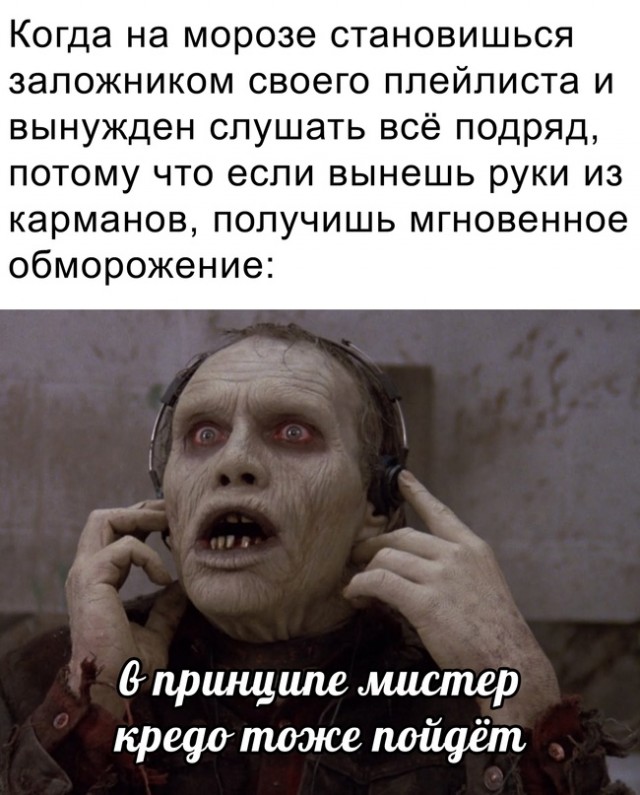 Весёлый полтишок 19.01.23